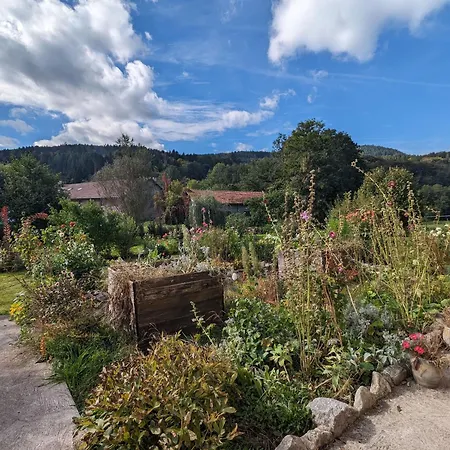 Bed & Breakfast Jonquille